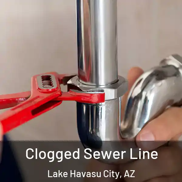  Clogged Sewer Line Lake Havasu City, AZ