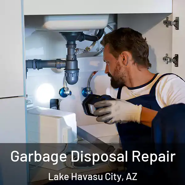  Garbage Disposal Repair Lake Havasu City, AZ