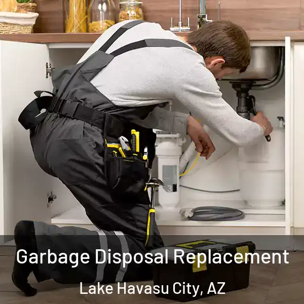  Garbage Disposal Replacement Lake Havasu City, AZ
