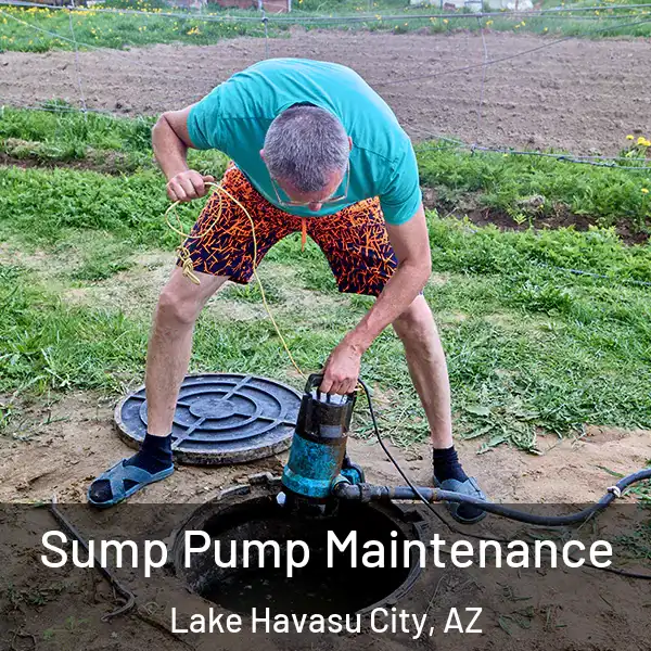  Sump Pump Maintenance Lake Havasu City, AZ