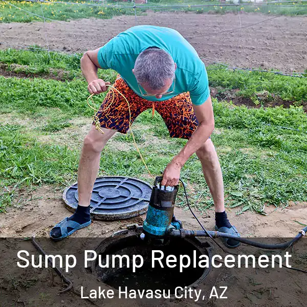  Sump Pump Replacement Lake Havasu City, AZ