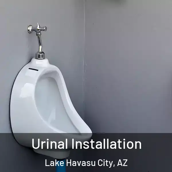  Urinal Installation Lake Havasu City, AZ
